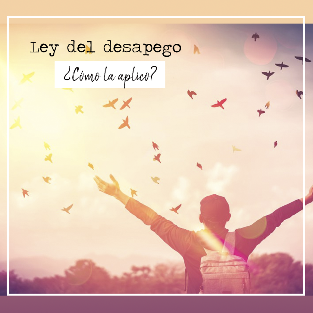 Ley del Desapego: Aprende a Soltar y Vive con Libertad Interior
