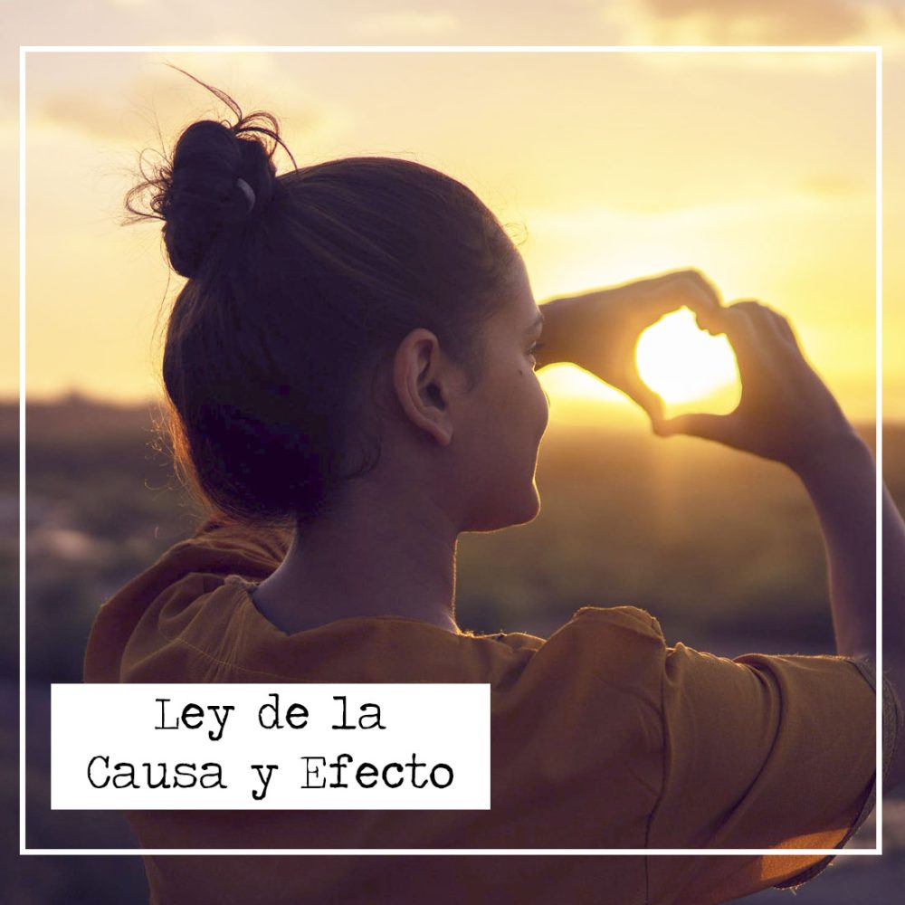 Entiende la Ley de Causa y Efecto: Cómo nuestras acciones moldean el destino