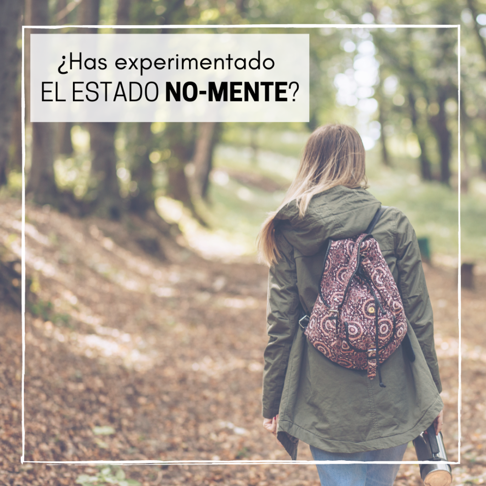 Explora el Estado de No-Mente: Cómo Silenciar tu Mente y Encontrar la Paz