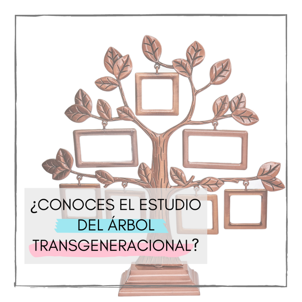 El Árbol Transgeneracional: Descubre los bloqueos y patrones heredados