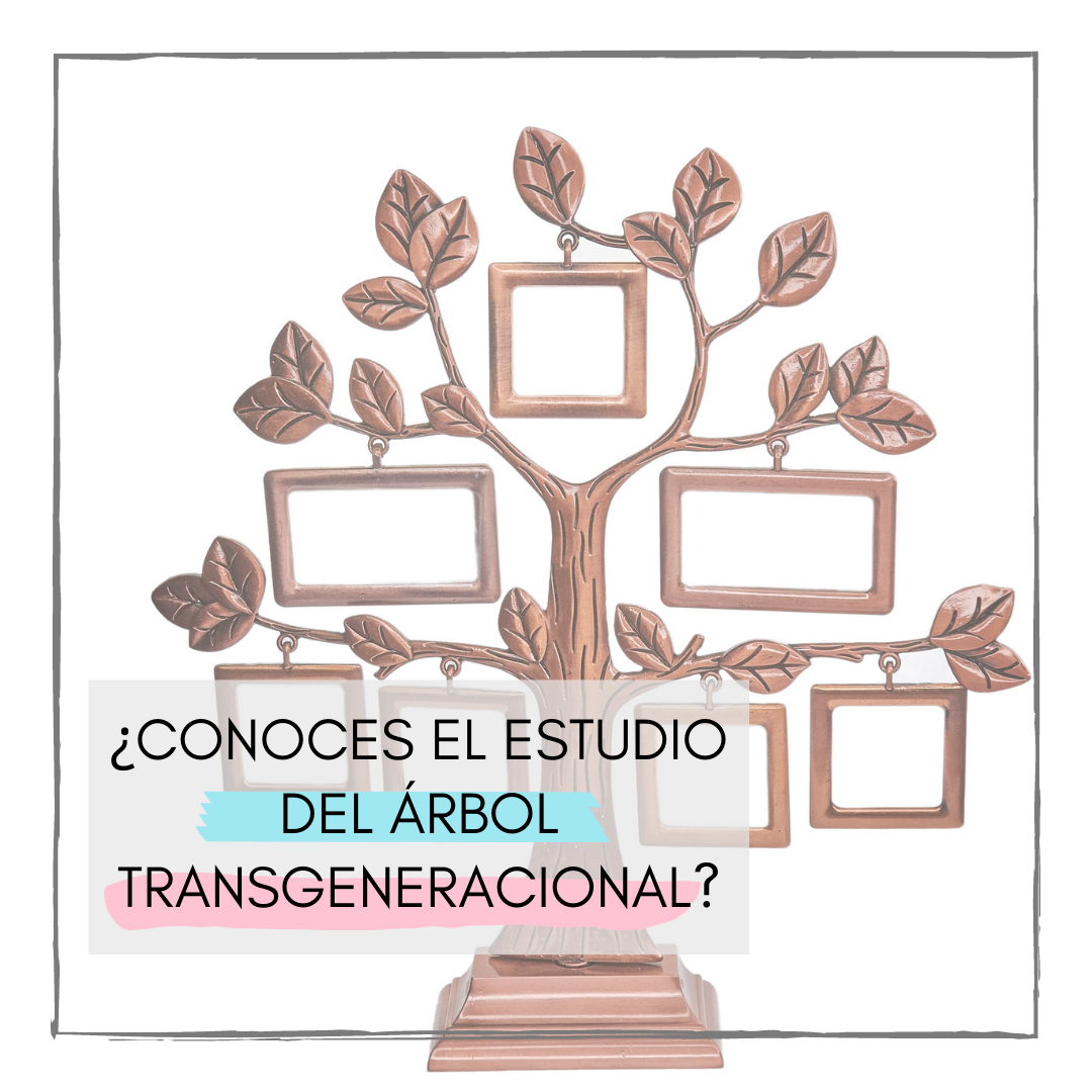 Lee más sobre el artículo ¿Conoces el estudio del árbol transgeneracional?